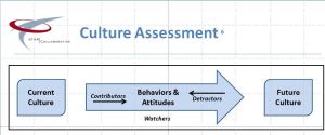 Cultural assessment4